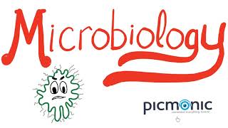 Microbiology Part 1 Introduction  Actinomyces israeli Listeria Diphtheria Nocardia  Picmonic [upl. by Hoebart203]