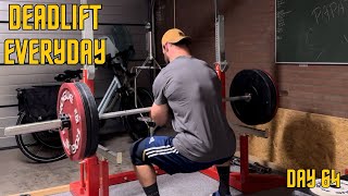 Deadlift Everyday Day 64 Implementing quad work [upl. by Llednek]