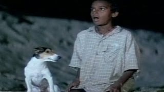 Godavari Comedy Scene  Animated Dog Talking To His Master [upl. by Allana]