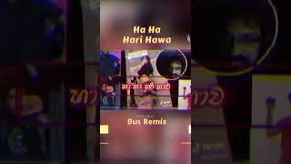 Ha Ha Hari Hawa Bus Remix shorts busdj [upl. by Zetnahs296]