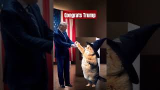 Congrats Mr Trump for USA president donaldtrump kucing kucinglucu shorts catlover catlovers [upl. by Carley970]