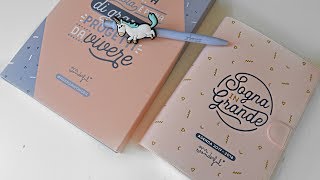 RECENSIONE AGENDA MR WONDERFUL poket giornaliera Unboxing e prime impressioni [upl. by Eeloj]