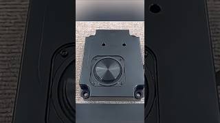 275quot Devialet midbass speaker nice excursion bass woofer [upl. by Rockie723]