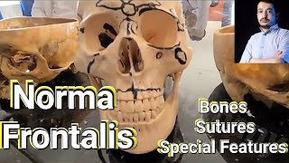 Anatomy of the skull bones sutures and special features of norma frontalis  Head amp Neck Anatomy [upl. by Philbo170]