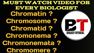 Chromatin chromosome chromatid chromonema chromonematachromomere [upl. by Nayrb577]