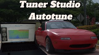 Miata Cruising SFL for Autotune [upl. by Tanah976]