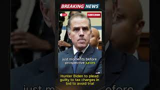 Hunter Biden to plead guilty to tax charges in bid to avoid trial shorts [upl. by Tuinenga]