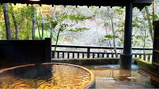 Visiting beautiful Japanese hot springs ♨️  Kurokawa Onsen  Ryokan Food 🍻  Hot springs in Japan [upl. by Laucsap]