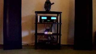 Glorious McIntosh System with Magnepan speakers [upl. by Jen627]