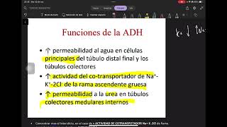 5 Concentración y Dilución de Orina  Osmolaridad ADH y Regulaciones [upl. by Essyle]