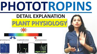 PHOTOTROPIN I Sensory Photobiology I Plant Physiology I Blue Light Receptor I CSIRNETI GATE I ICAR [upl. by Laurene]