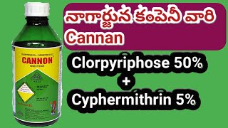 Mirchi insectisides and pesticides telugu  Nagarjuna company Cannan pesticide spray mirchi telugu [upl. by Eniger]