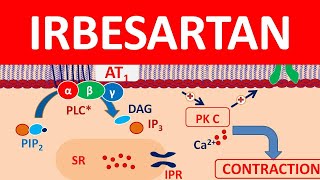 Irbesartan  Mechanism precautions side effects amp uses [upl. by Sutniuq]