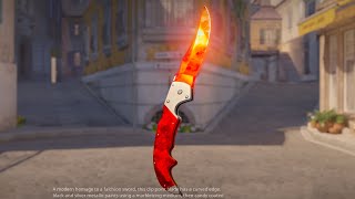 CS2 FALCHION RUBY Knife [upl. by Annahsor171]