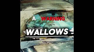 A Warning  Wallows Lyrics [upl. by Mahda]