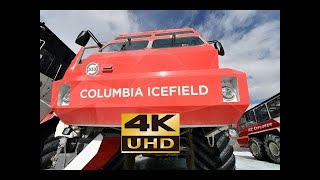 Columbia Icefield Glacier Adventure Tour Alberta Canada Jasper National Park 4K [upl. by Rahas109]