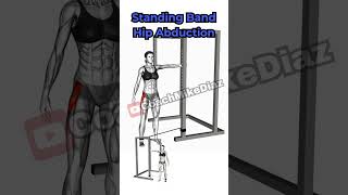 Standing Resistance Band Hip Abduction [upl. by Anaujit]