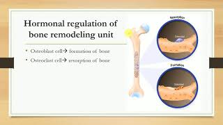 Hormones regulating plasma calcium level Parathormone Calcitonin and Vitamin D [upl. by Paxon]