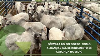 FÓRMULA DO BOI GORDO COMO ALCANÇAR 55 DE RENDIMENTO DE CARCAÇA NA SECA [upl. by Raama]