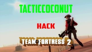 How to Hack TF2 Aimbot ESP Bhop and more  Team Fortress 2 [upl. by Bork]