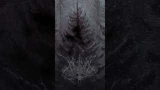 🌲 xwøja  Der Wald single 2024  BLACK METAL  BLACKMETAL  ХВОЯ ПОДКАСТ dsbm [upl. by Nlyak849]