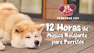 12 Horas de Música Relajante para Perros  Ideal para Dormir y Calmar 🐾💤 [upl. by Ymot390]