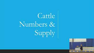 Beef Cattle Market Outlook – Anne Wasko – President Cattle Trennds [upl. by Garth704]