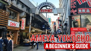 A Beginners Guide to AmeyaYokocho [upl. by Ainoloppa]