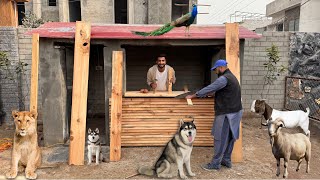 Animals K Lye Kitchen Bnwa Rhy Hain Bht Piari Si😍 [upl. by Ilajna84]