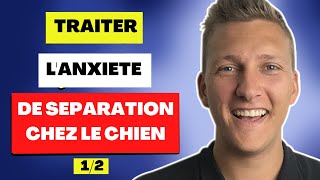 Anxiété de séparation avec votre chien  Faites ceci [upl. by Satsoc]