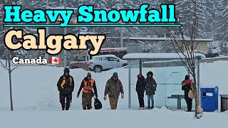 Heavy Snowfall and Freezing Cold in Calgary Alberta Canada 🇨🇦 canada calgary Alberta Snow [upl. by Novaj]