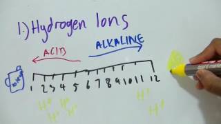 AS Level Biology  Inorganic Ions [upl. by Bijan117]