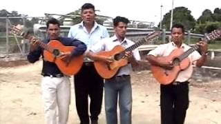 Pasillos y pasacalles ecuatorianos guitarras  Santa Lucía Guayas Ecuador [upl. by Malliw]