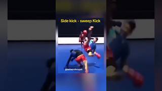 Side KickSweep Kick Combo ⭐⚡ wushu mma martialarts sweepkick youtubeshorts shorts [upl. by Radek]