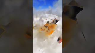 The cheering was on point best extremesport snow snowboardfails [upl. by Arri410]