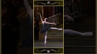 the Black Swan Pas De Deux ballet balletdancing theroyalballet [upl. by Leno514]