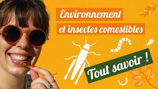 Environnement et insectes comestibles  TOUT SAVOIR [upl. by Flannery]