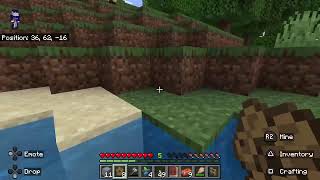 Minecraft Chill Stream No Commentary [upl. by Adelice]