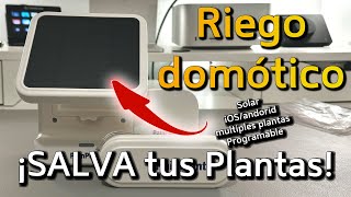 Cómo REGAR tus PLANTAS AUTOMATICAMENTE desde el móvil 📲🪴Con RainPoint [upl. by Immot83]