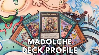 Competitive Madolche deck profile January 2024 TCG Yugioh [upl. by Assina]