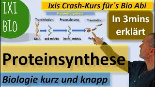 Proteinbiosynthese in 3 Minuten erklärt Transkription Translation Biologie kurz und knapp [upl. by Apeed]