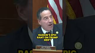 Raskin fully exposes Trump grift in pitchperfect takedown [upl. by Tiny]