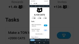 How To Reconnect Bitget Wallet To Cats airdrop cats ton connectwallet task Claim [upl. by Harewood]