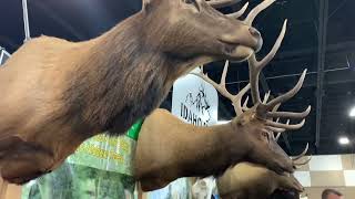 Washington Sportsmen’s Show  Puyallup Feb 1  5 2023 [upl. by Durant]