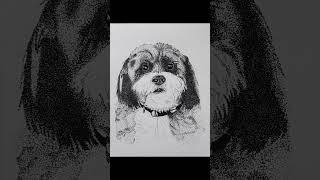 pointillism drawing 🐶 art drawing trending youtube viralvideo pointillism penart yt dog [upl. by Nayve]