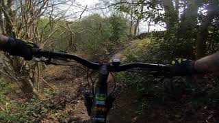 Rooty Tooty descent Blackamoor Peak District MTB 19419 [upl. by Yedrahs]