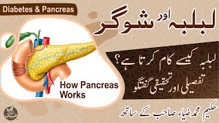 How Pancreas Work  Pancreas amp Diabetes  Lablaba or sugar  IBNETABEEB ®  IBNE0092 [upl. by Odnumde]