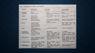 Inter relationship of Hemichordata Urochordata and Ciphalochordata II [upl. by Athalla]