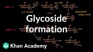 Carbohydrate  Glycoside formation hydrolysis  Chemical processes  MCAT  Khan Academy [upl. by Mutz396]