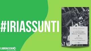 RIASSUNTO IL RICHIAMO DELLA FORESTA  I Riassunti di Libraccio [upl. by Plerre62]